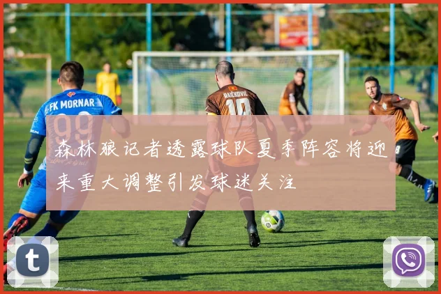 森林狼记者透露球队夏季阵容将迎来重大调整引发球迷关注